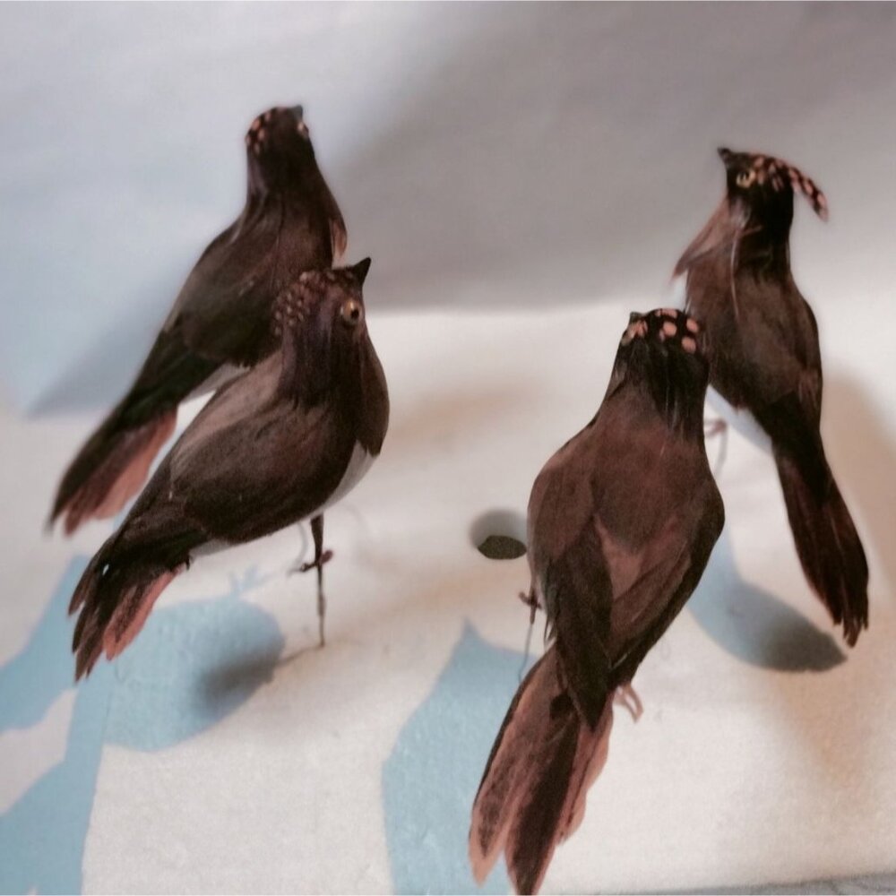 Decorative Tufted Birds Brown Orange Feathers Realistic Craft Display Lot 4 - Picture 9 of 14